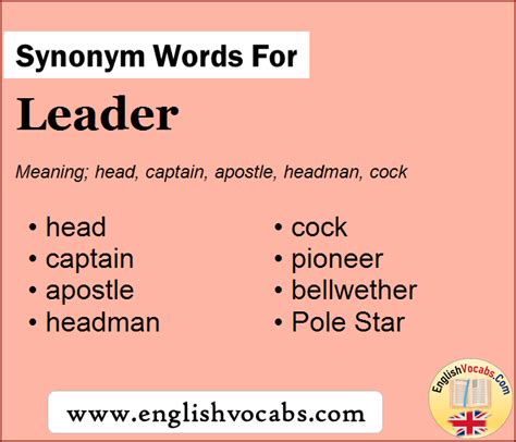 englisch leider|leader synonym.